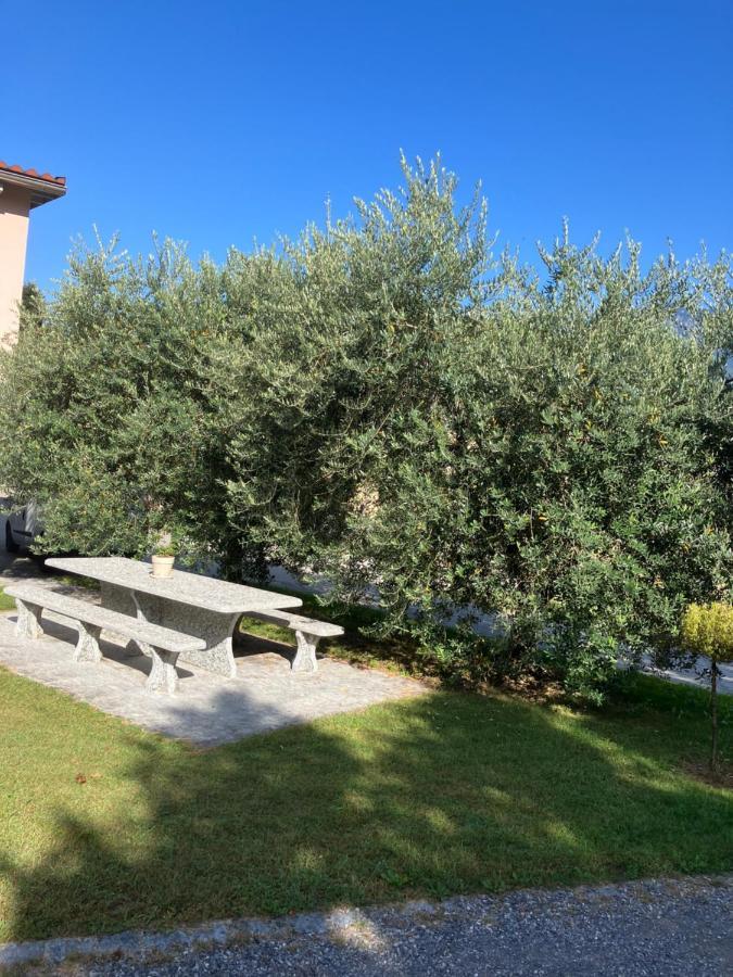 Residenza Giovanni Contone Eksteriør billede